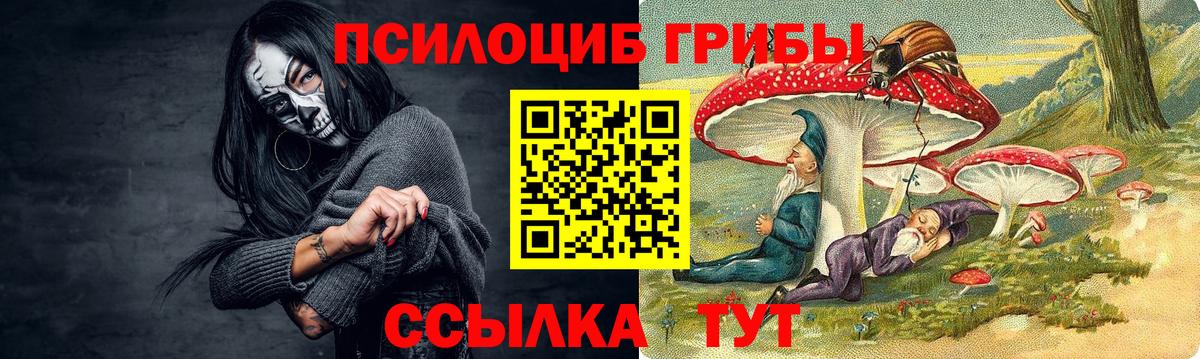 Галлюциногенные грибы Magic Shrooms  где продают наркотики  Вход с VPN  Юрга  Галлюциногенные грибы MAGIC MUSHROOMS 